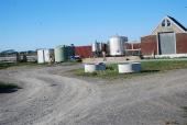 Typical dairy set-up, bulk tank outside