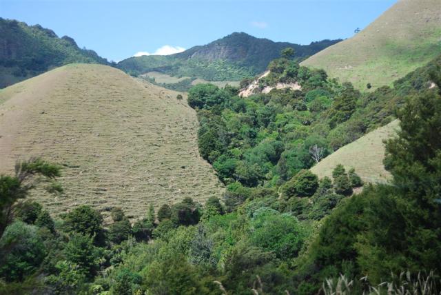 Coromandel hills
