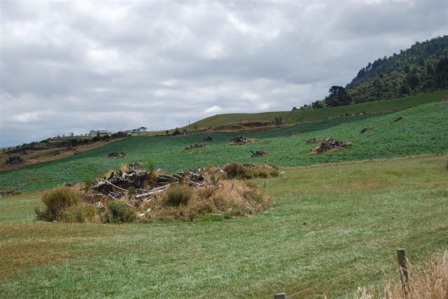 Residues from forestry being converted to dairying