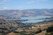 Looking out over Akaroa