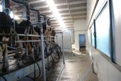 State of the parlour after 700 milked!