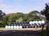More round bales....